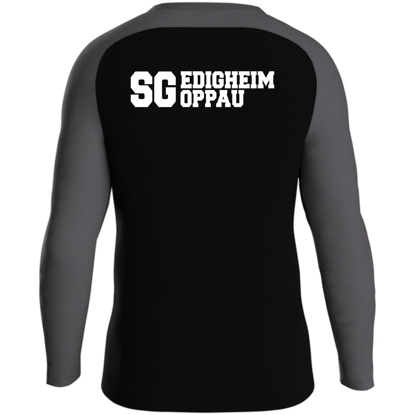 SG Edigheim-Oppau Iconic Sweat 8624-801