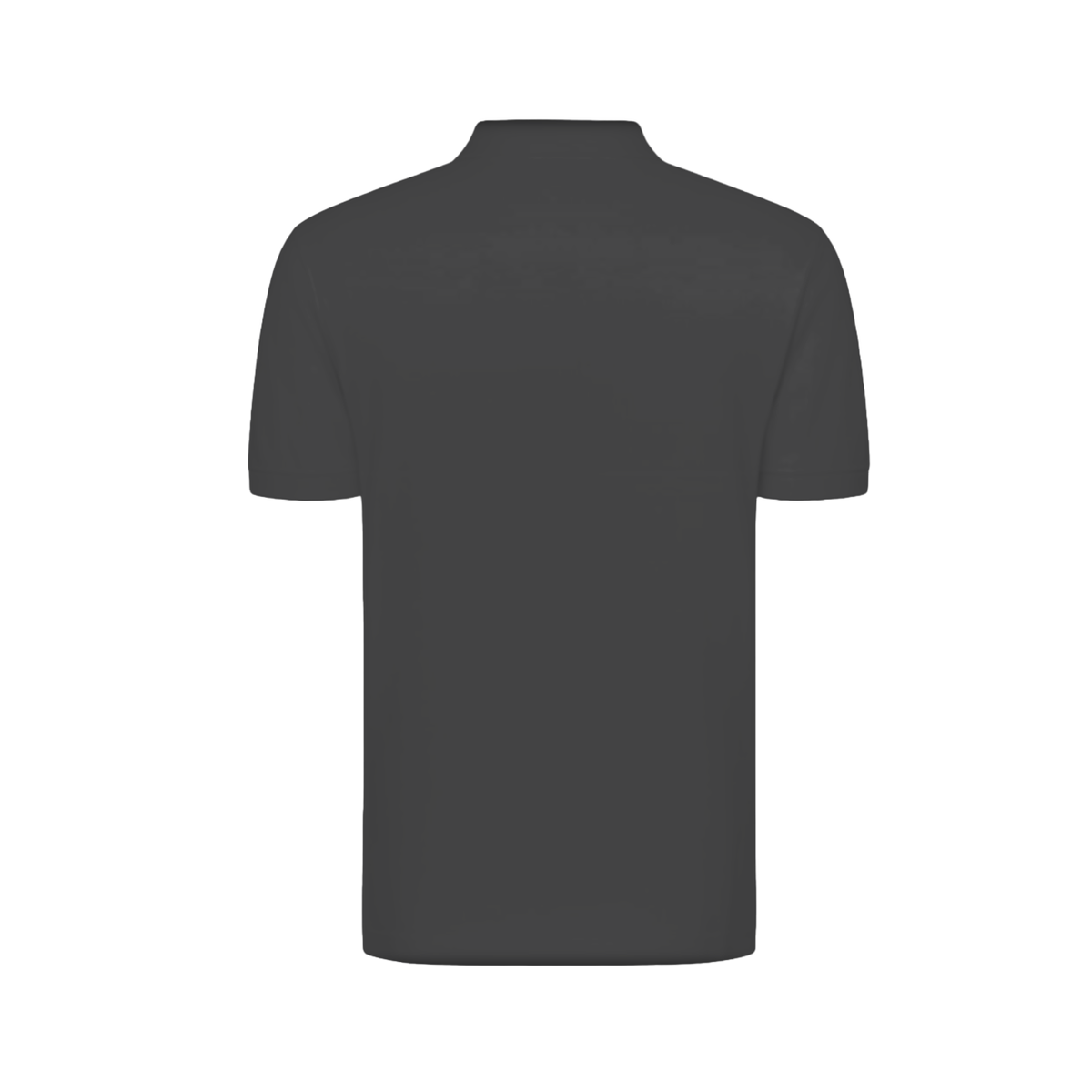 Polo Classic James & Nicholson Graphite