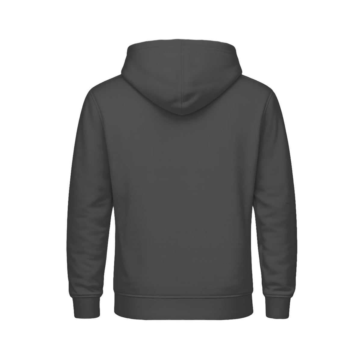Hoodie SOL'S Snake Charcoal Melange