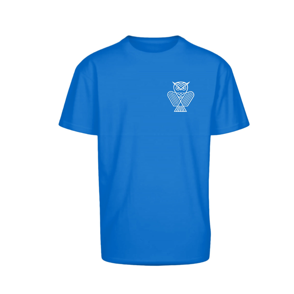 KG Eule Basic T-Shirt BYB Oversized – Intense Blue – Vorderseite