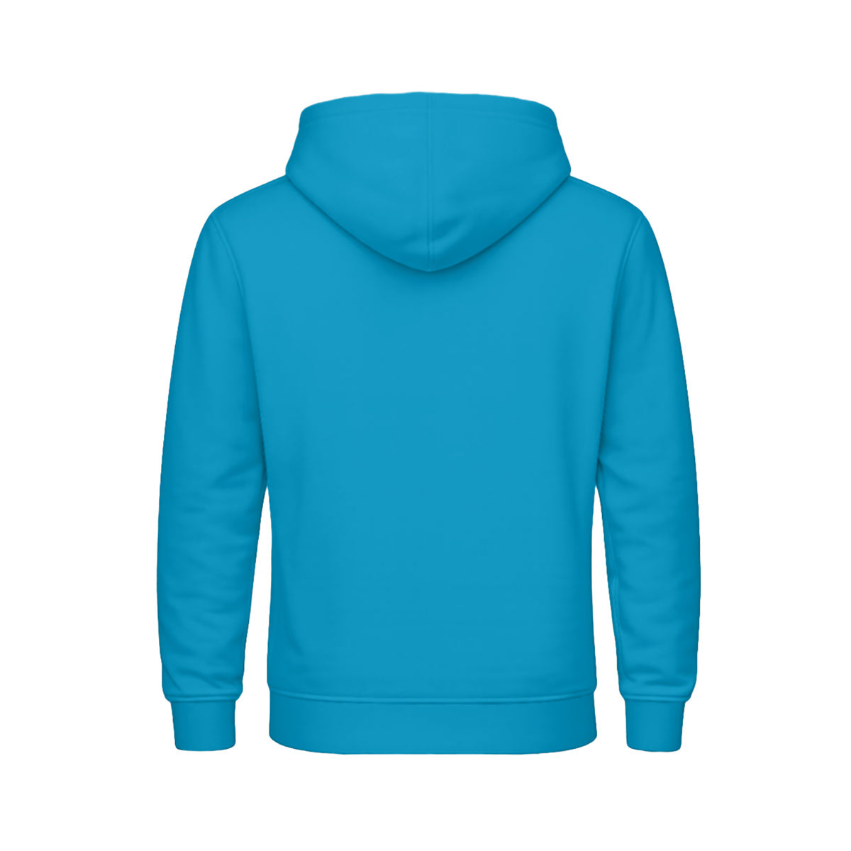 Hoodie SOL'S Snake Aqua