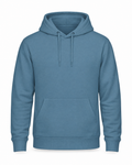 Hoodie College Just Hoods Airforce Blue