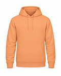 Hoodie College Just Hoods Light Orange