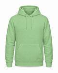 Hoodie College Just Hoods Pistachio Green