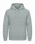Hoodie College Just Hoods Platinum Grey