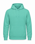 Hoodie College Just Hoods Seafoam