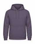 Hoodie College Just Hoods Wild Mulberry